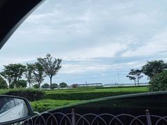 -77号渔船·蒸海鲜青岛菜(积米崖店)