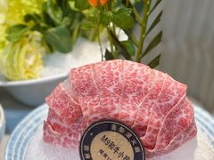 -喜聚薈·花膠雞海鮮火鍋(越秀店)