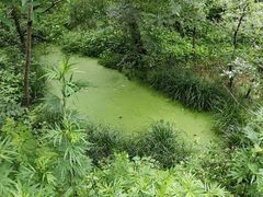 -终南山国家森林公园