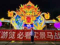 -淄博花灯齐彩城