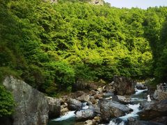 -石台牯牛降景区