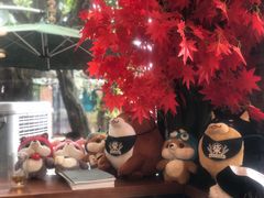 -柴犬高等学院·狗咖·柴犬售卖·宠物训练