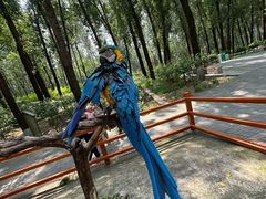 -北京野生动物园