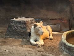 -清迈夜间动物园