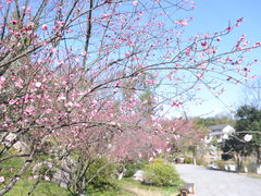 -常德桃花源景区