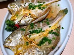 油泼黄花鱼-吕氏疙瘩汤·新派鲁菜(欢乐汇店)