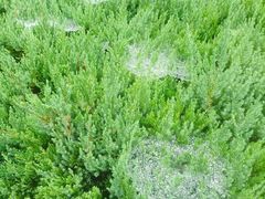 -宝岩生态观光园