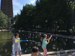 -玲珑塔公园