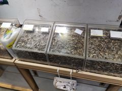 水产区-粒上皇(淮河路步行街店)
