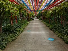 -南宫五洲植物乐园