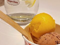 -哈根达斯(武汉天地店)