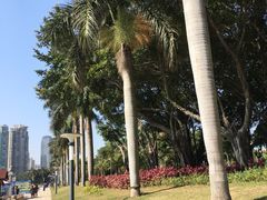 -厦门宝龙铂尔曼大酒店·龙之渊中餐厅