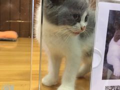 -龟与熊猫宠物公园(南坪店)