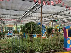 -南宫五洲植物乐园