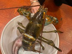 -顺风海鲜港(金玉兰店)