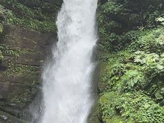 -中国大熊猫保护研究中心雅安碧峰峡基地