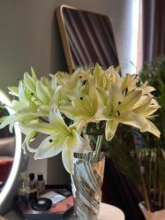 -花隐·美芙炫海菲秀皮肤管理中心