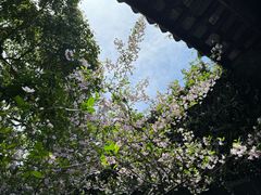 -惠山古镇·寄畅园