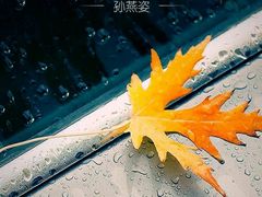 -雷迪森大酒店