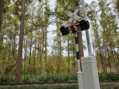 -黄海国家森林公园