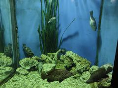 -大连老虎滩海洋公园