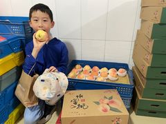 -老袁家蜜桃农场·阳山水蜜桃