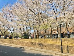 -浙江大学(玉泉校区)