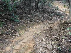 -广州市白云山风景名胜区