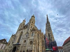 -斯蒂芬主教座堂(Stephansdom)
