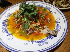-盐与味葱葱鲫鱼•自贡菜江湖菜(春熙店)