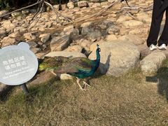 -无锡动物园·太湖欢乐园