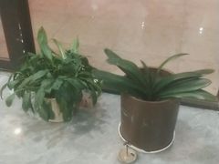 -张钰强中医正骨推拿连锁(唐家人才公寓店)