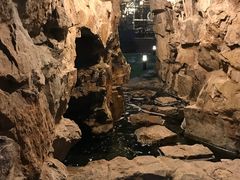 -上海虹桥宾馆味翠餐厅