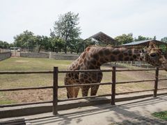 -西安秦岭野生动物园