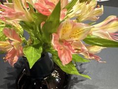 -江南雅厨(李公堤店)