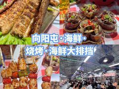 -日照海滨国家森林公园