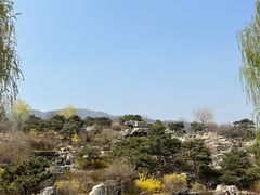 -北京西山国家森林公园