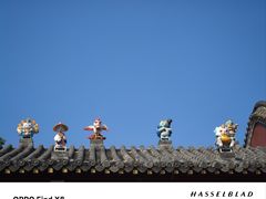 -长春观