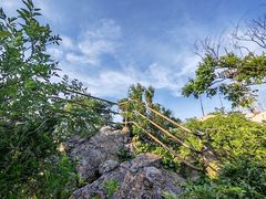 -紫金山山顶公园