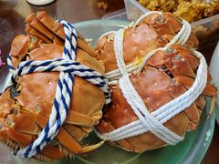 -紫光园·烤鸭·北京菜(劲松店)