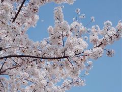 -静安雕塑公园
