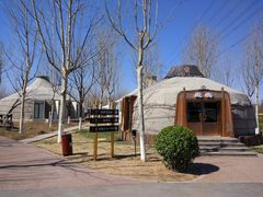 -九十九顶毡房(阜石路店)