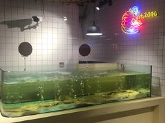 多宝鱼-日进一片海.生腌海鲜火锅.宵夜烧烤(三里屯总店)