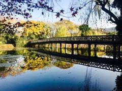 -西湖外事游船(花港观鱼码头)