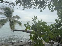 -巴拉湾海滩