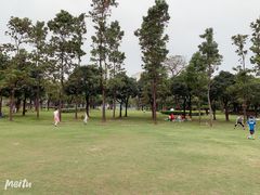 -文华公园(禅城区)