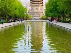 -玲珑塔公园