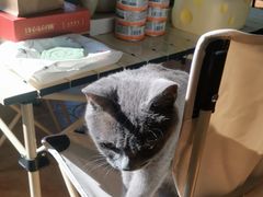 -莱姆星桌游·拼豆·团建