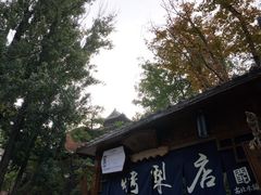 -古北烤梨