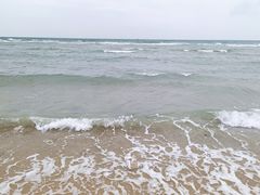 -贝壳沙滩